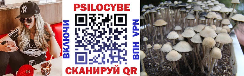 Галлюциногенные грибы Cubensis KRAKEN сайт Зарайск
