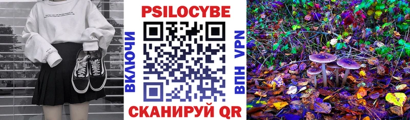 Псилоцибиновые грибы Cubensis Зарайск